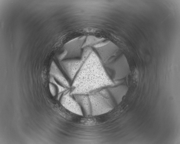 X0000077980559200611251348