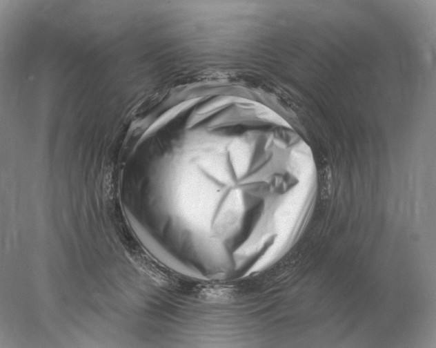 X0000077980560200611251348