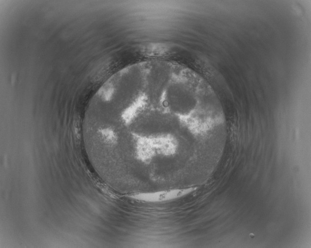 X0000077980561200611251348