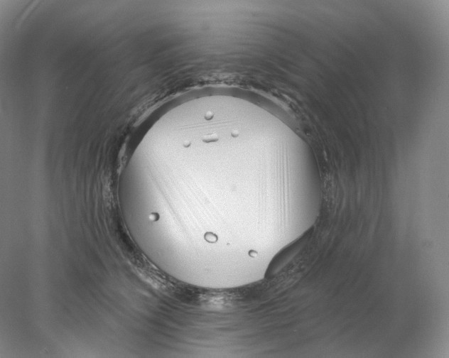 X0000077980564200611251348