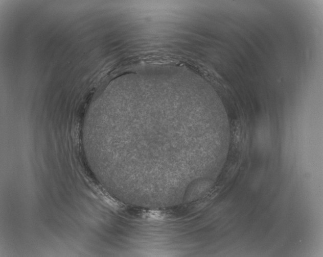 X0000077980565200611251348