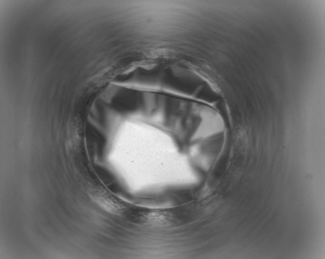 X0000077980566200611251348
