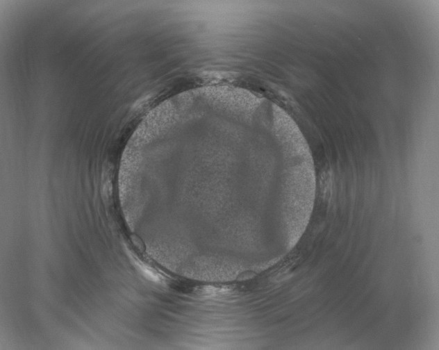 X0000077980570200611251348