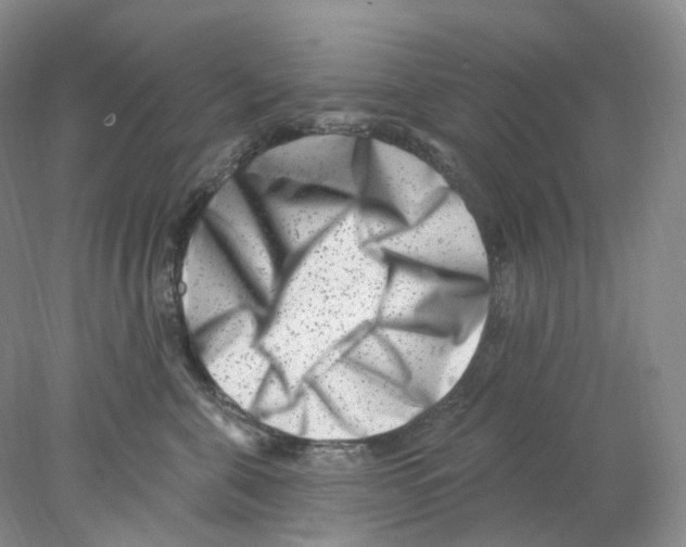 X0000077980571200611251348