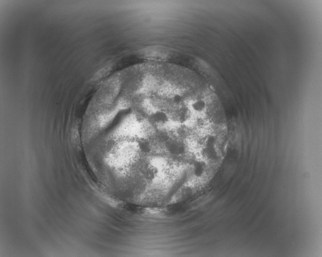 X0000077980573200611251348