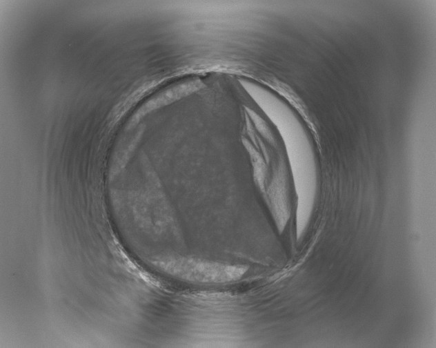 X0000077980577200611251348