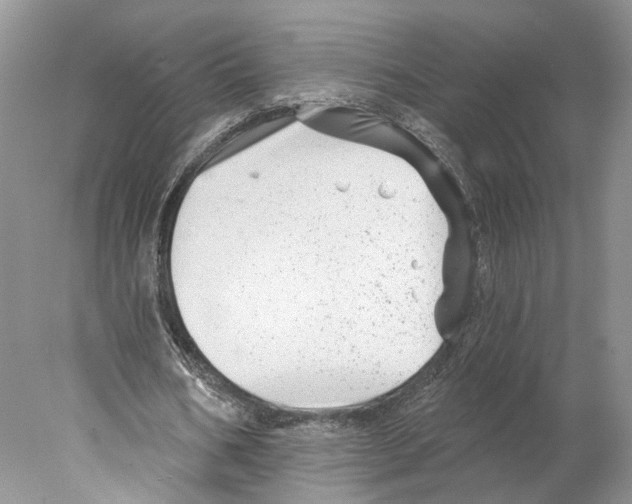 X0000077980578200611251348