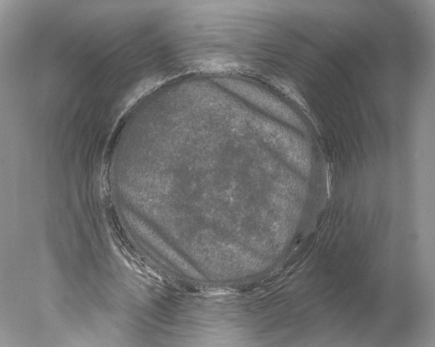 X0000077980579200611251348