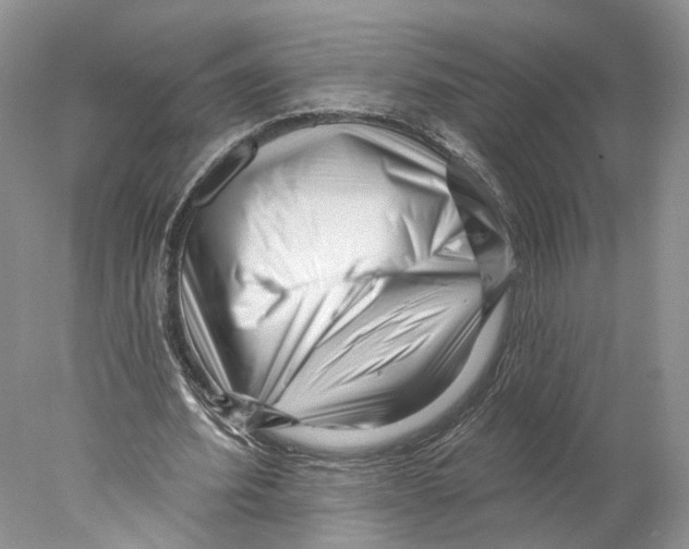 X0000077980580200611251348