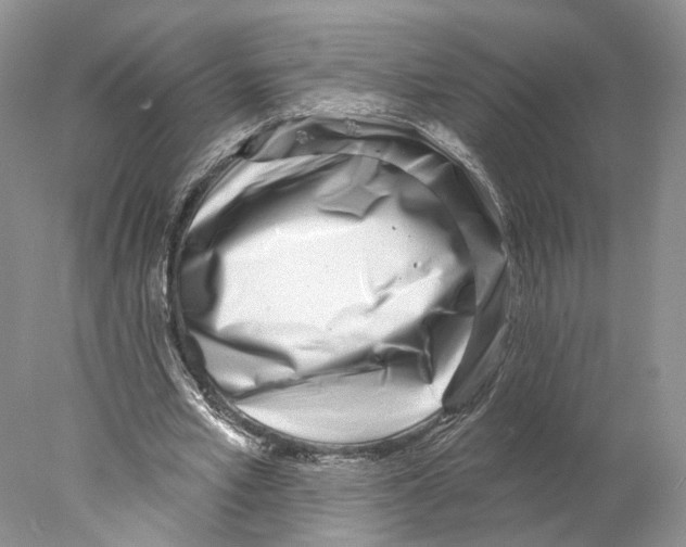 X0000077980581200611251348