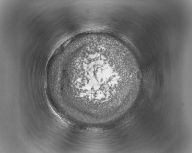 X0000077980582200611251348