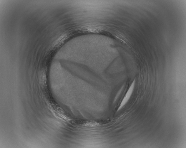X0000077980595200611251347