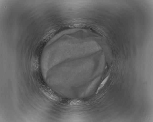 X0000077980599200611251347