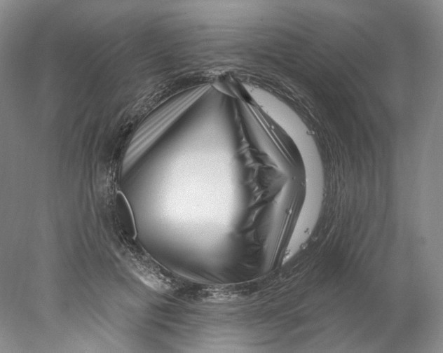 X0000077980601200611251347