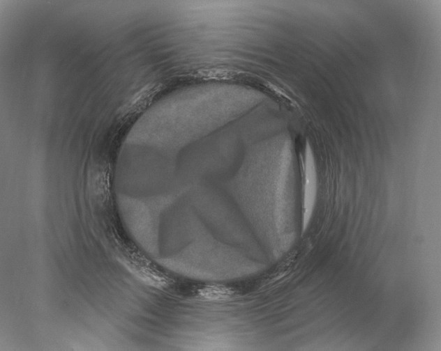 X0000077980603200611251347