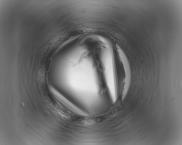 X0000077980604200611251347