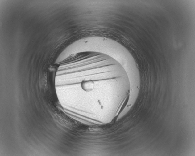 X0000077980605200611251347