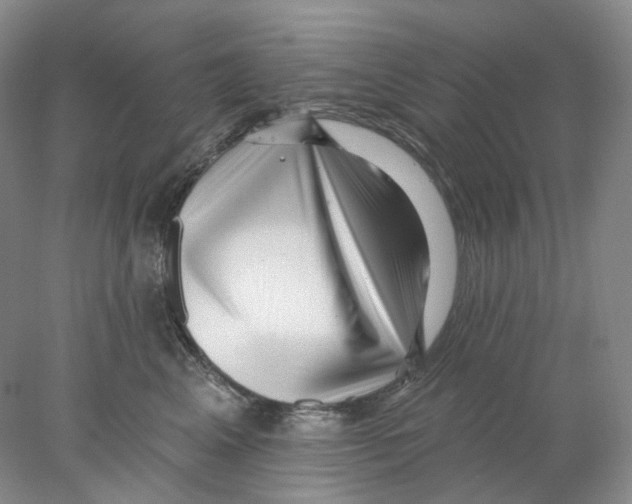 X0000077980617200611251347