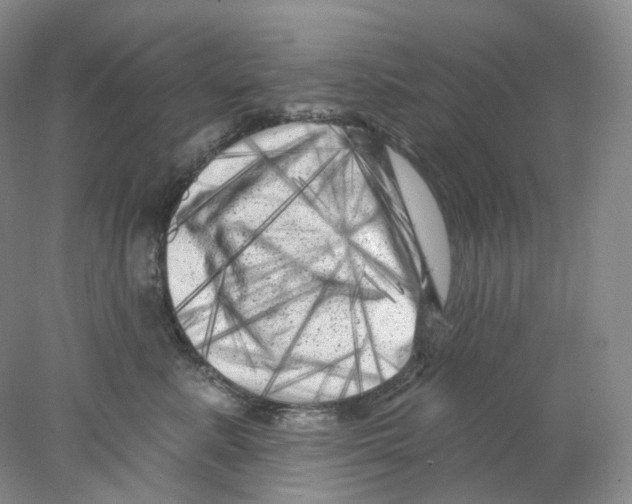 X0000077980619200611251347