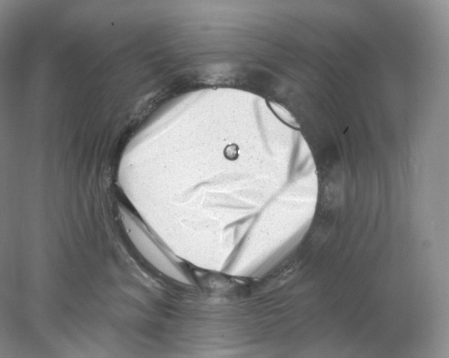 X0000077980620200611251347