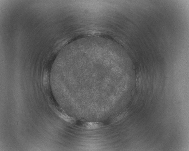 X0000077980623200611251347
