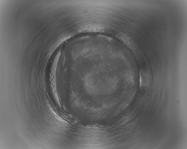 X0000077980627200611251346