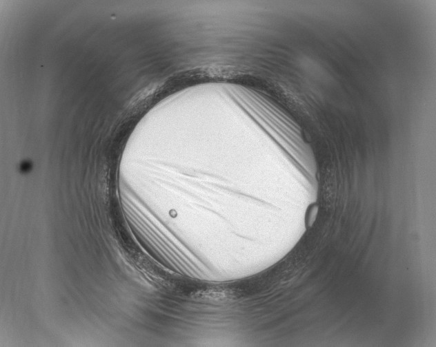 X0000077980639200611251346