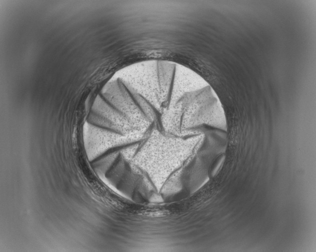 X0000077980646200611251346