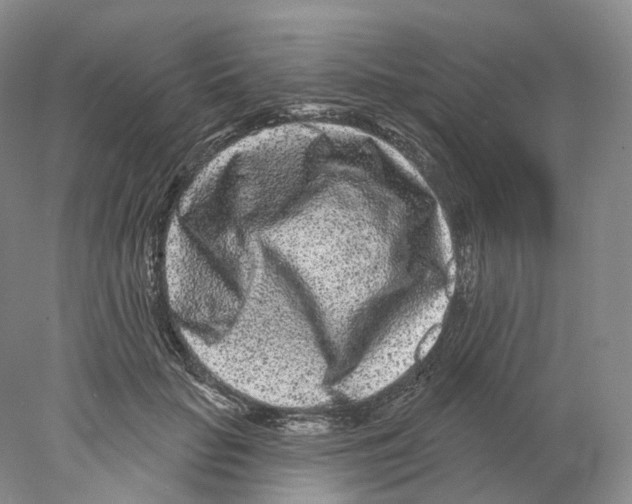 X0000077980653200611251347