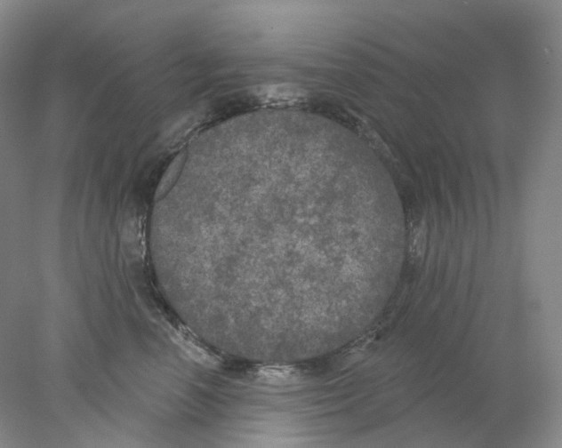 X0000077980666200611251347