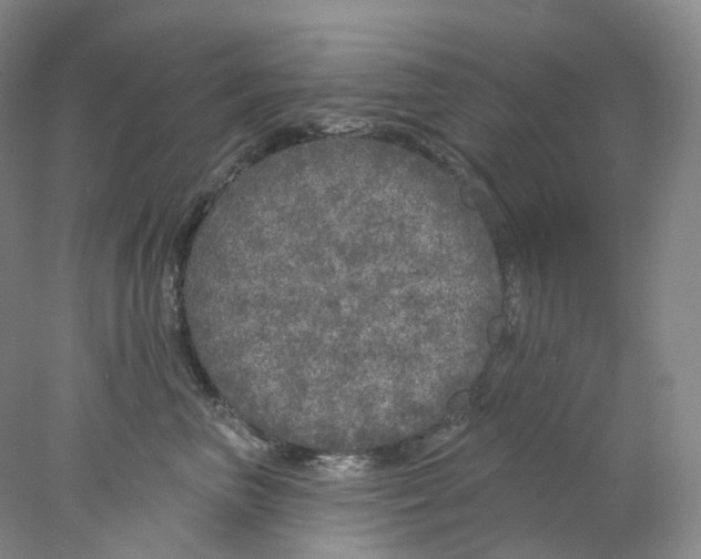 X0000077980667200611251347