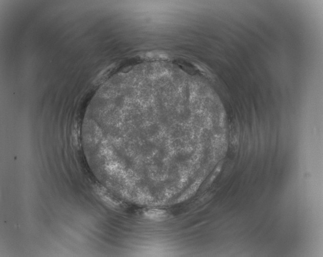 X0000077980669200611251347