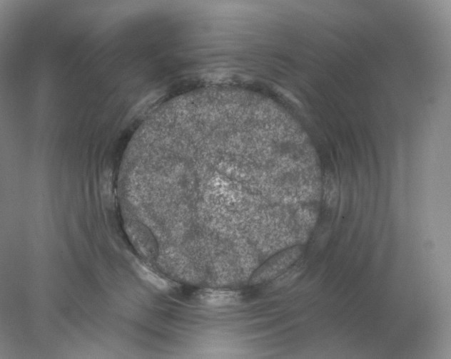 X0000077980670200611251347