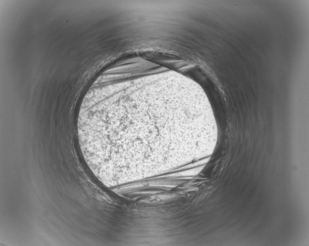 X0000077980673200611251346