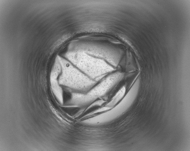 X0000077980677200611251346