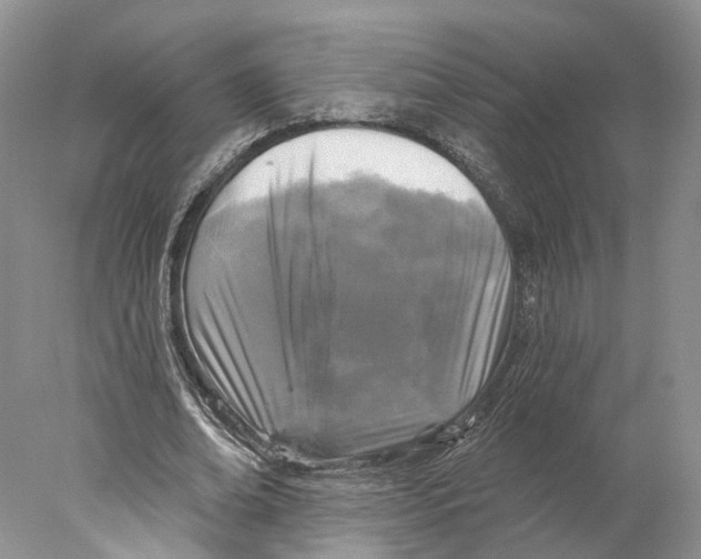 X0000077980678200611251346