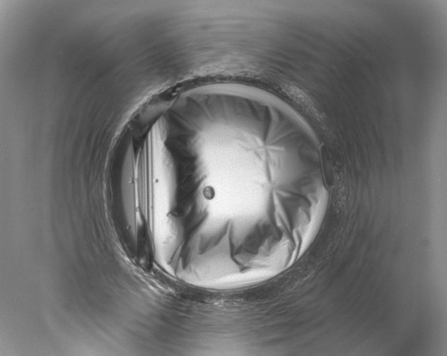 X0000077980680200611251346