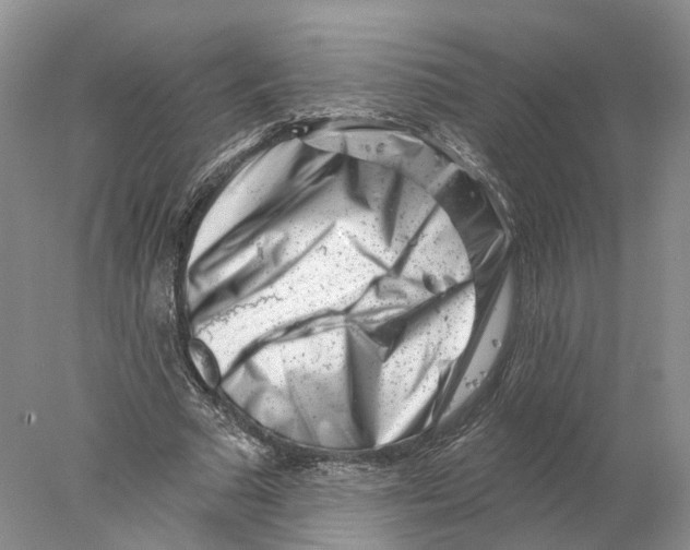 X0000077980681200611251346