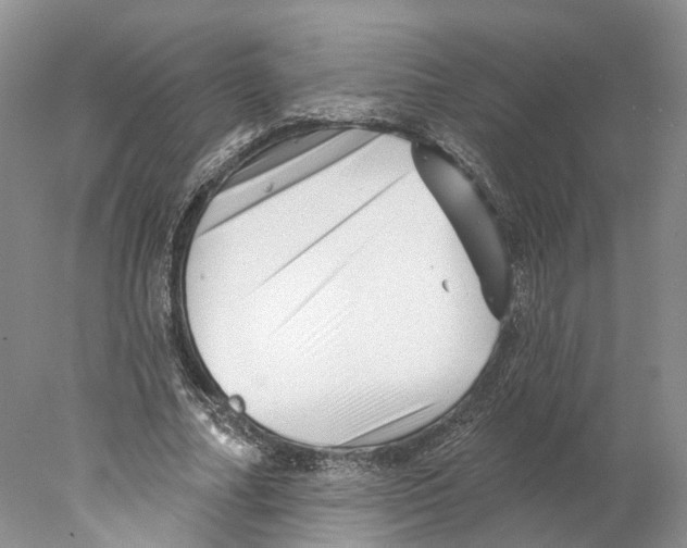 X0000077980682200611251346