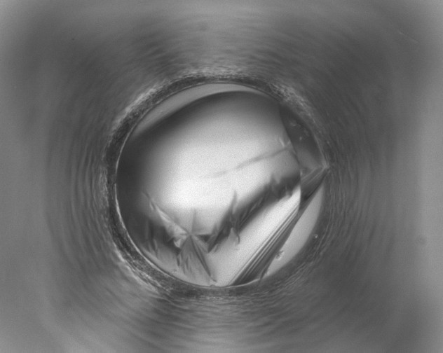 X0000077980684200611251346