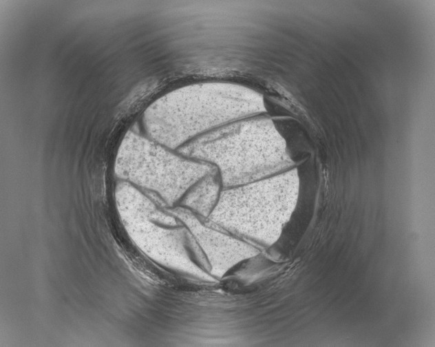 X0000077980685200611251346