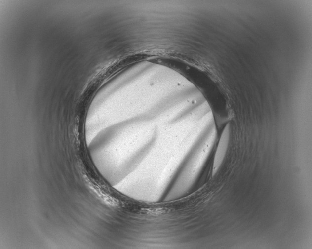 X0000077980688200611251346