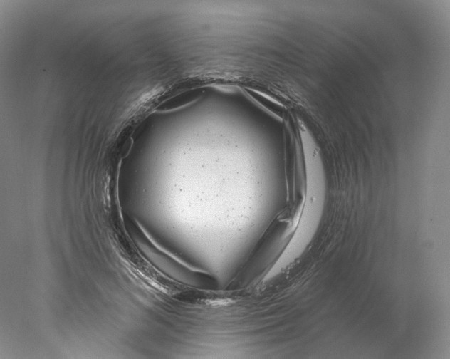 X0000077980692200611251346