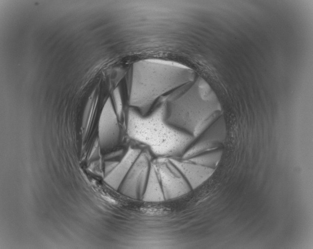 X0000077980693200611251346