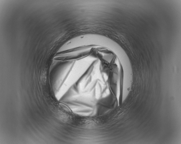 X0000077980697200611251346