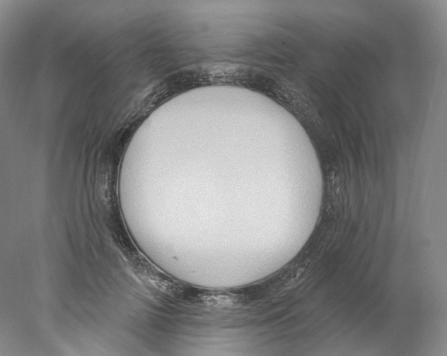 X0000077980698200611251346