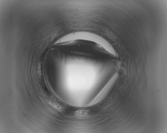 X0000077980700200611251346