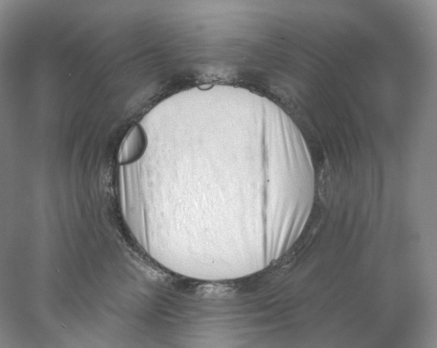 X0000077980714200611251345