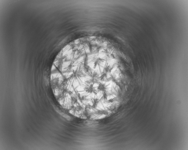 X0000077980719200611251345