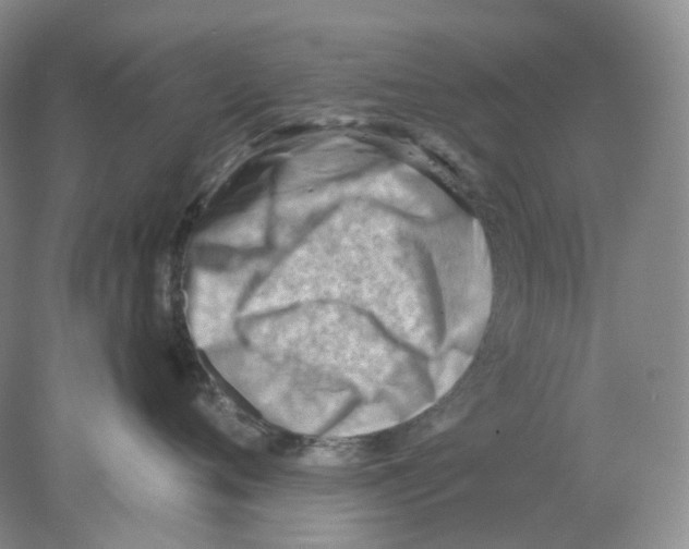 X0000077980720200611251345